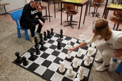 szachowe1902-17